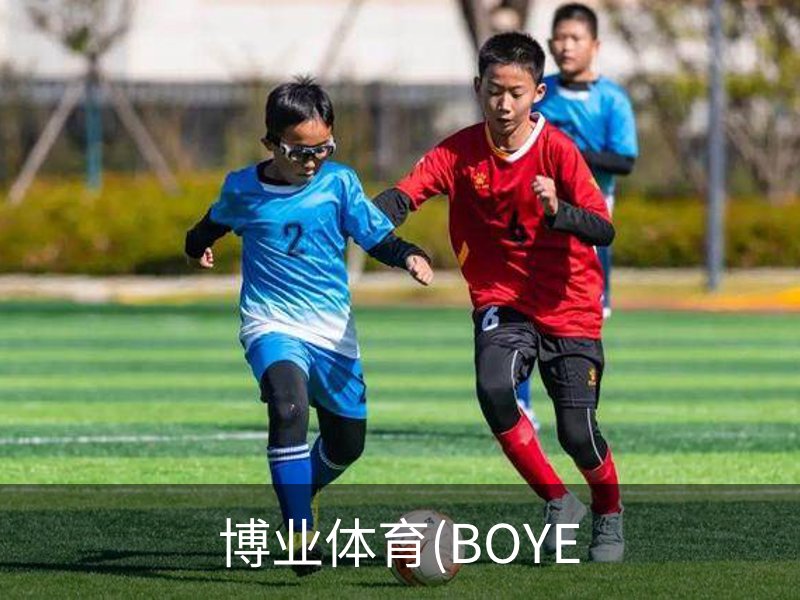 博业体育(BOYE介绍